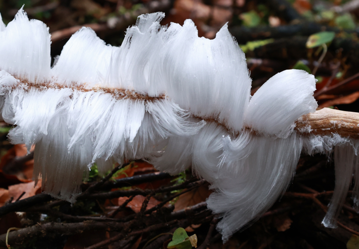 Cheveux de glace &copy; JCCorbel